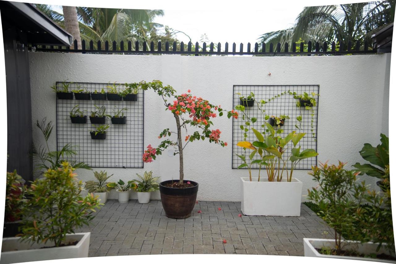 Thistle Inn Đảo Đảo Panglao Ngoại thất bức ảnh
