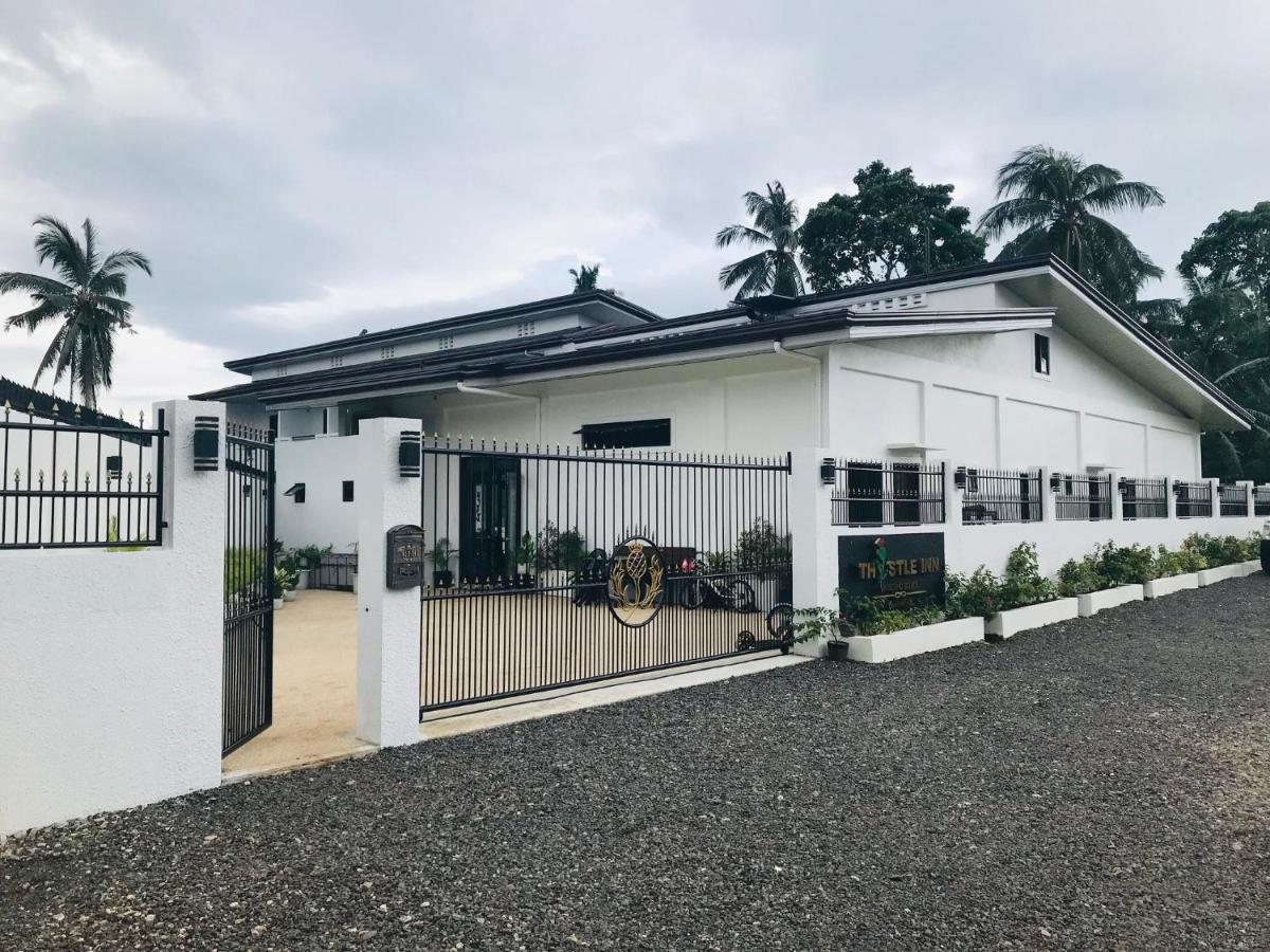 Thistle Inn Đảo Đảo Panglao Ngoại thất bức ảnh