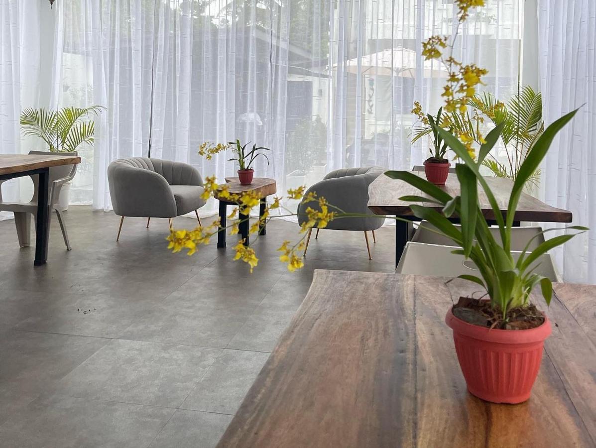 Thistle Inn Đảo Đảo Panglao Ngoại thất bức ảnh